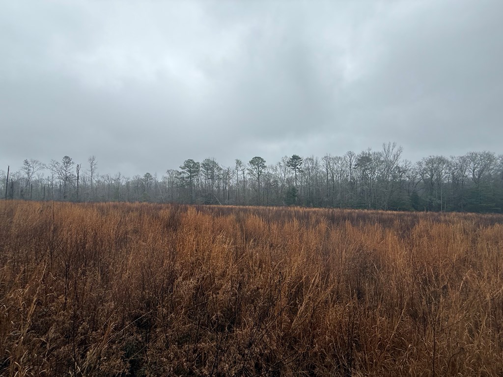 0 County Road 5509