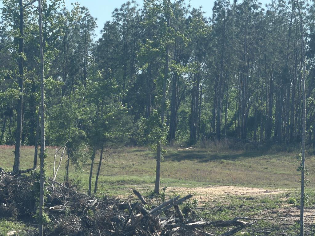 0 County Road 5509