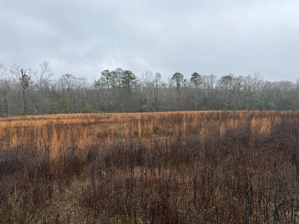 0 County Road 5509