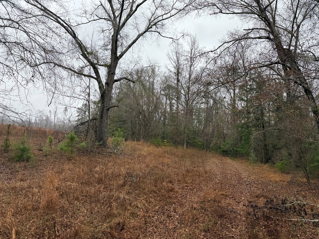 0 County Road 5509