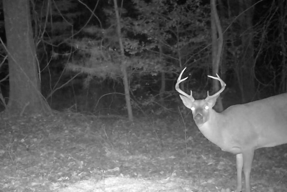 0 County Road 5509