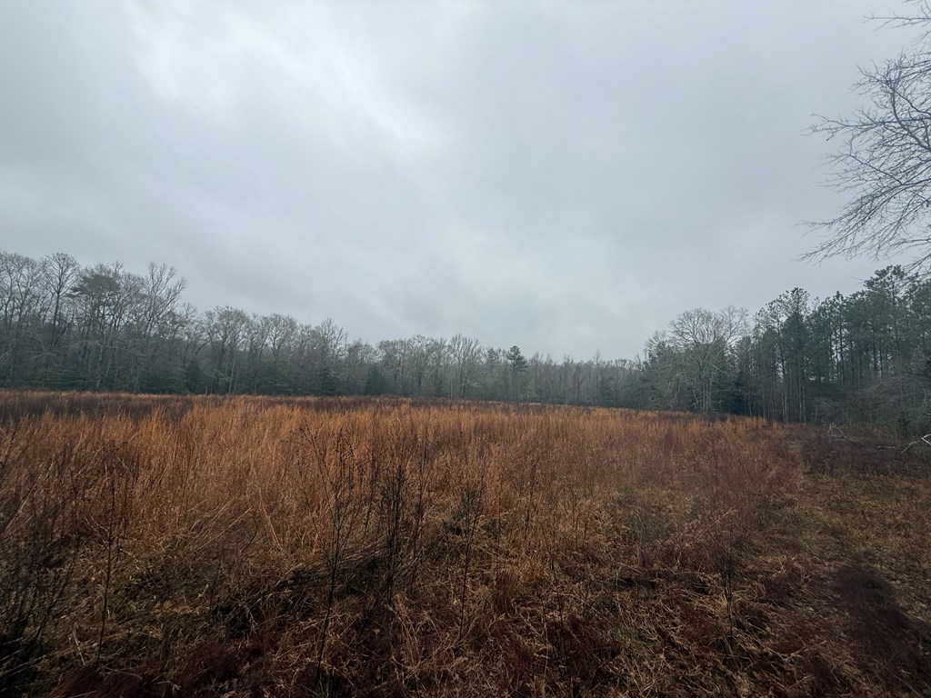 0 County Road 5509