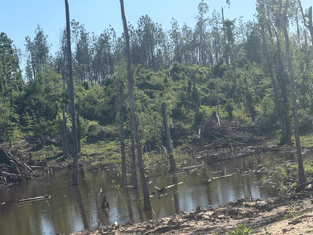 0 County Road 5509