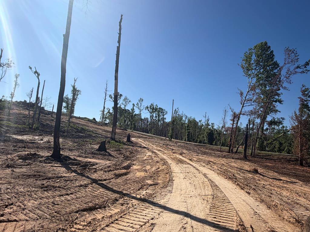 0 County Road 5509