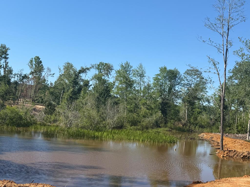 0 County Road 5509