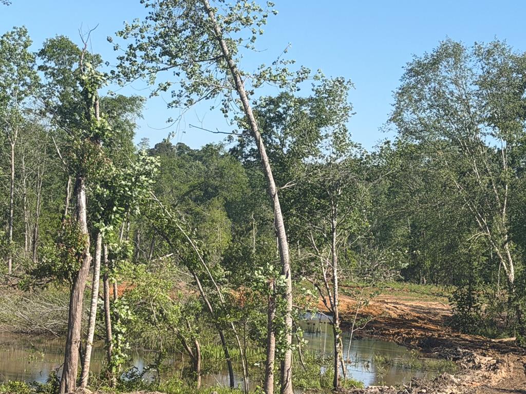 0 County Road 5509