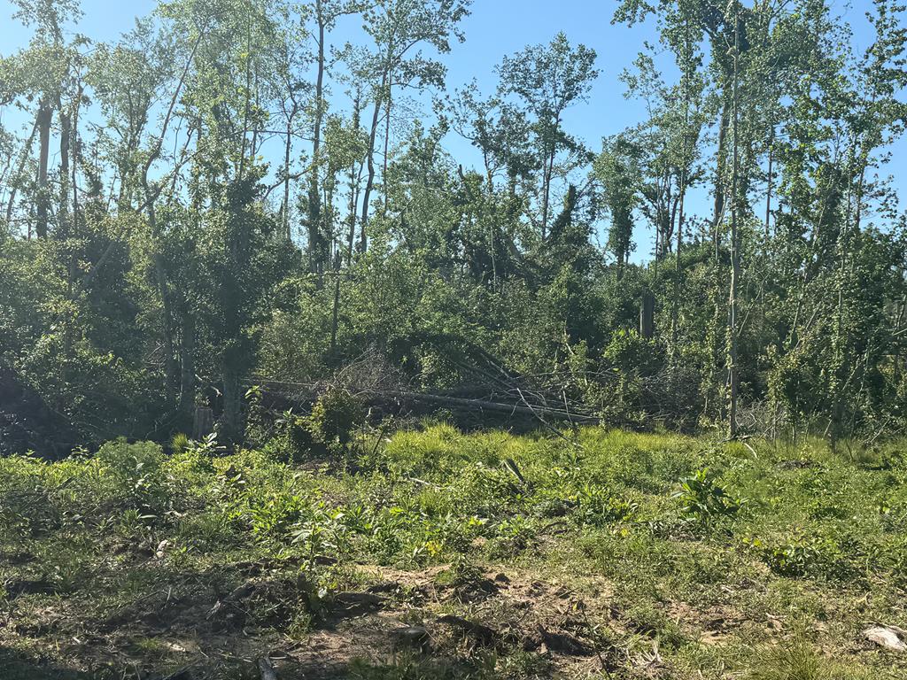 0 County Road 5509