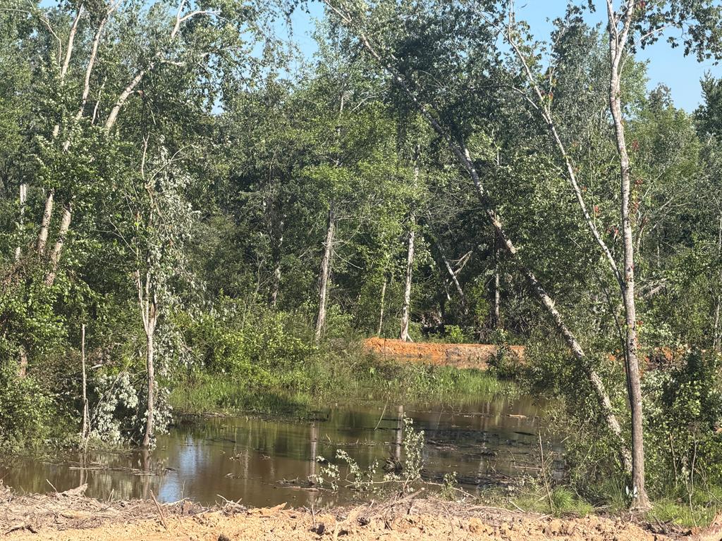 0 County Road 5509