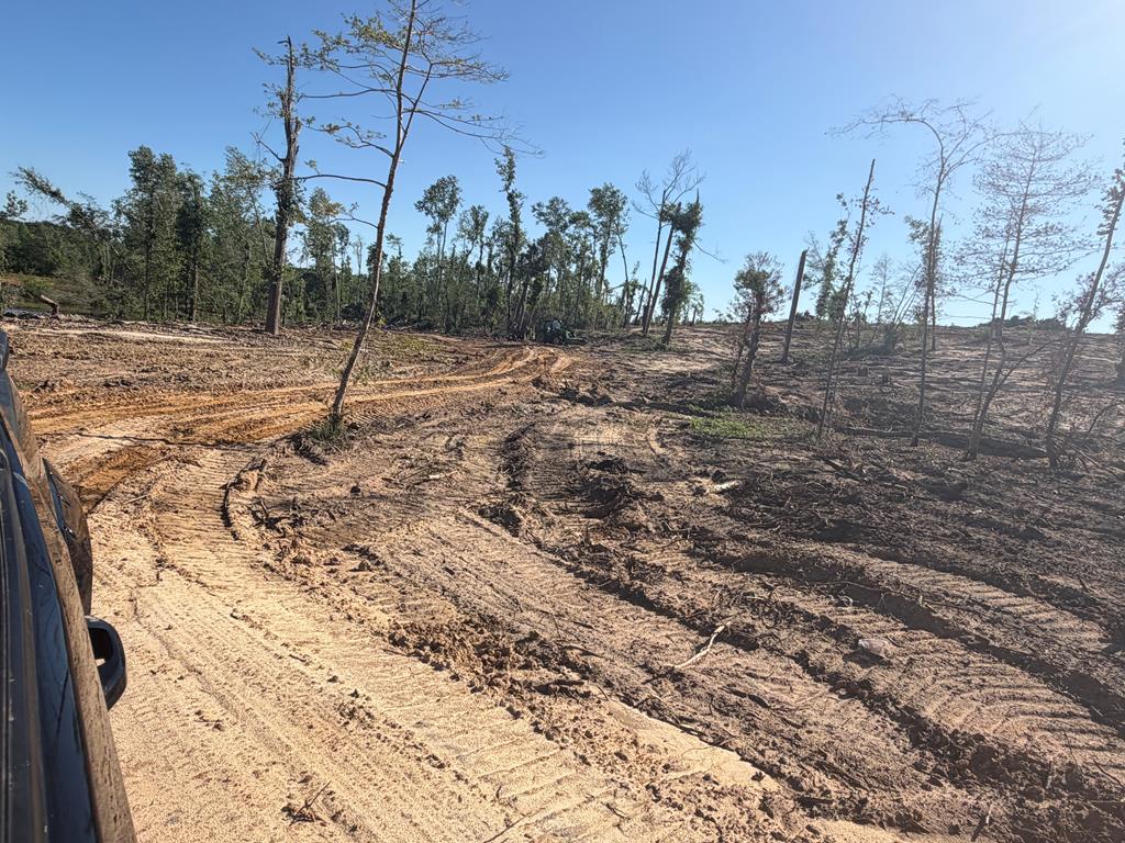 0 County Road 5509
