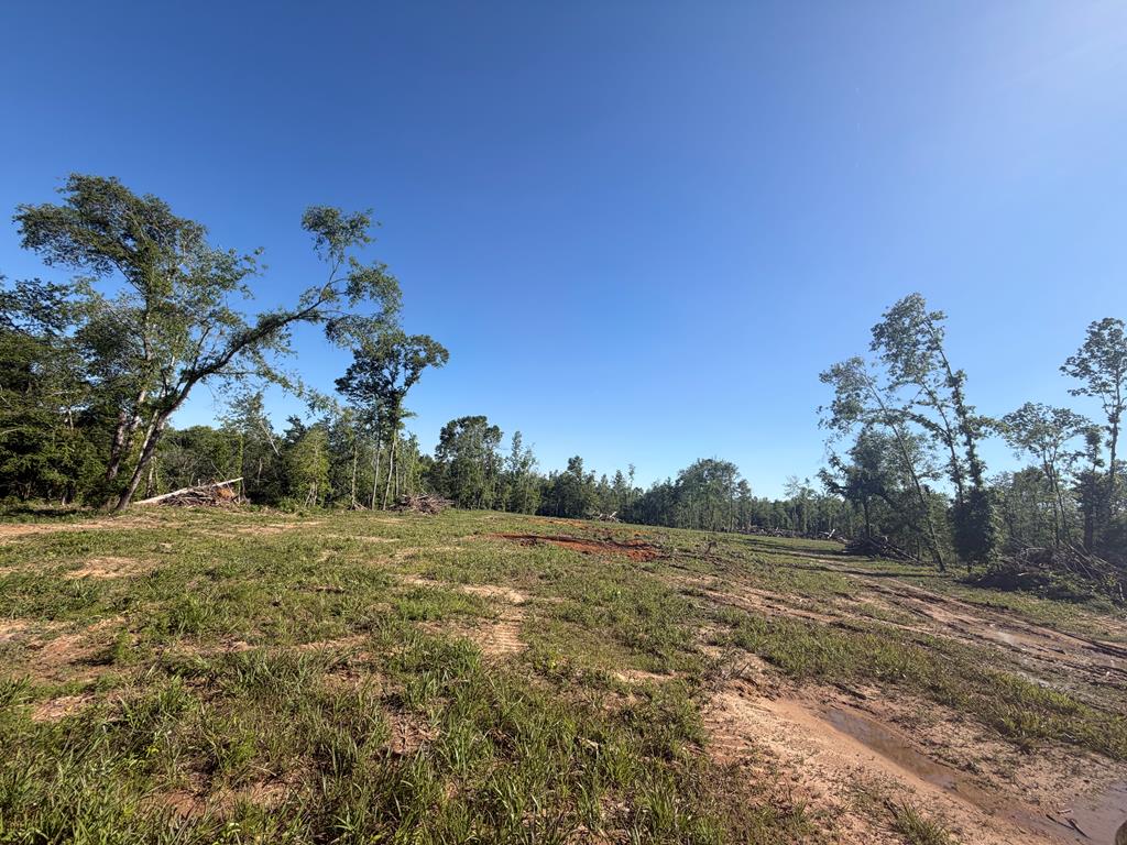 0 County Road 5509