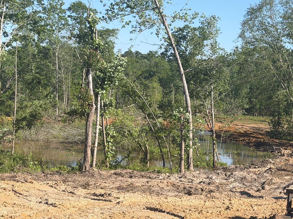 0 County Road 5509