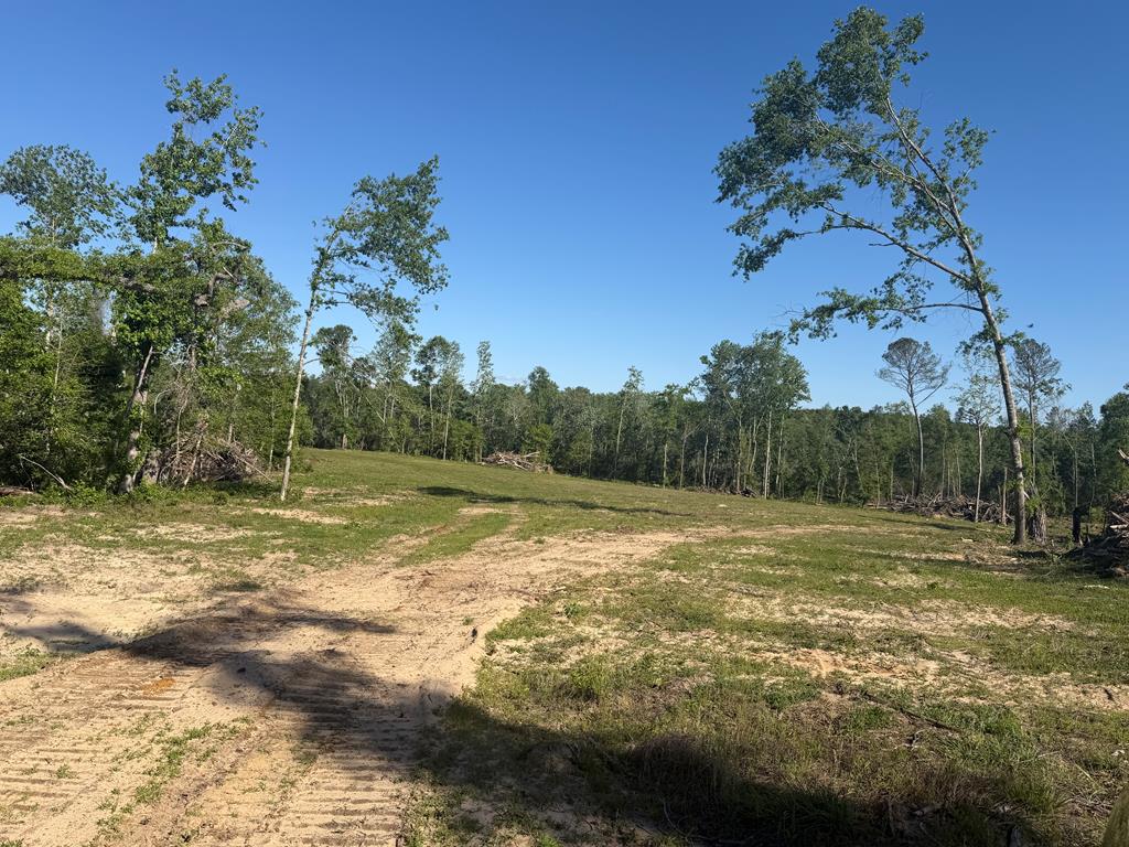 0 County Road 5509