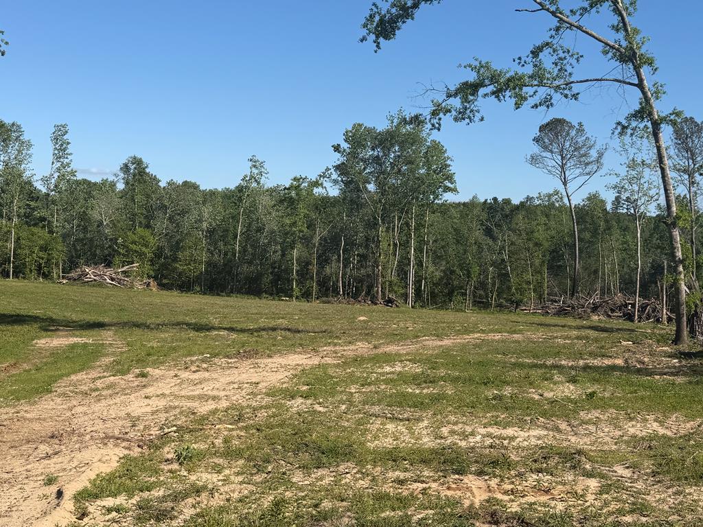0 County Road 5509