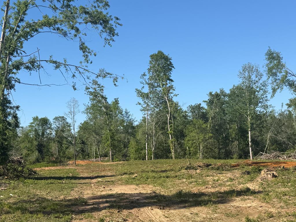 0 County Road 5509