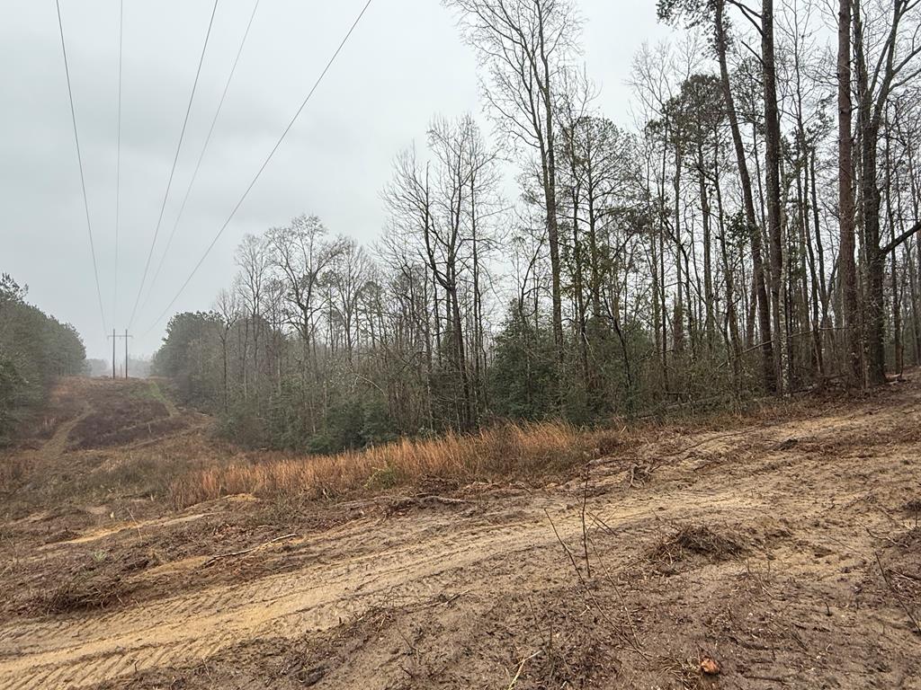 3741 County Road 5509