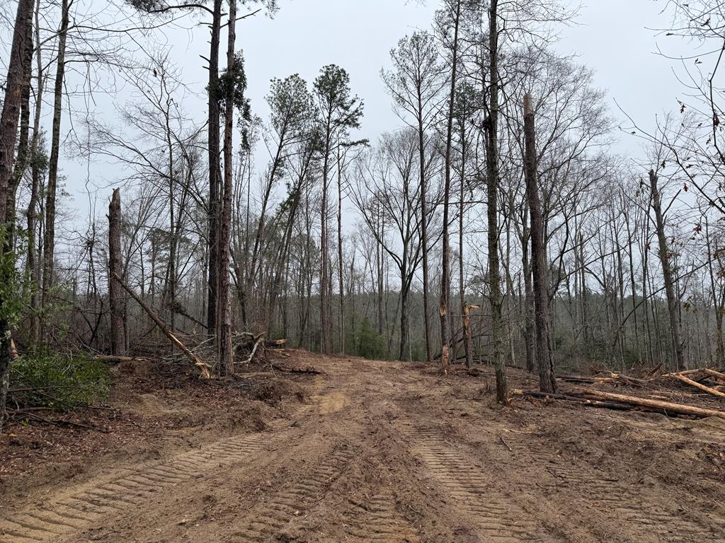 3741 County Road 5509