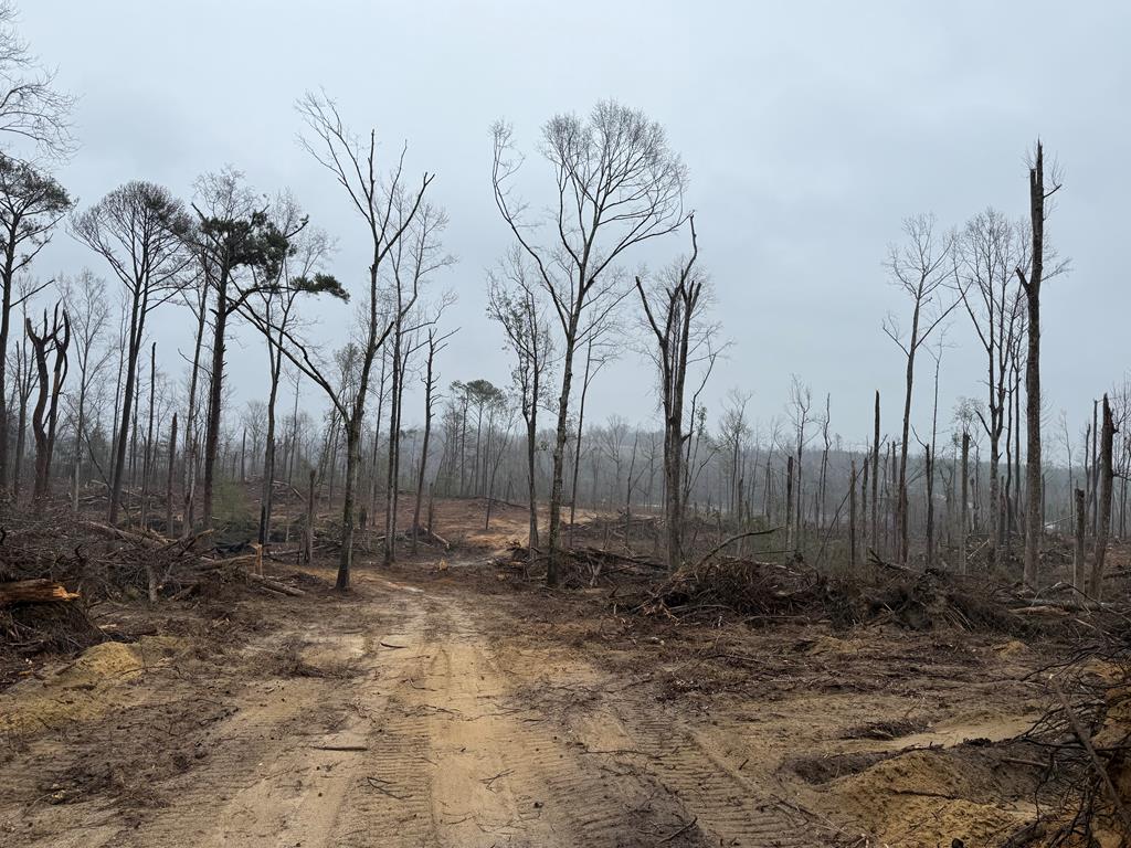 3741 County Road 5509