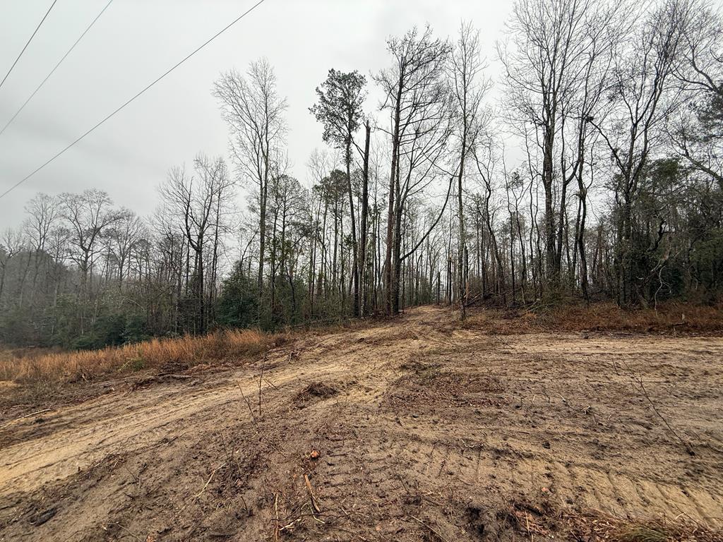 3741 County Road 5509