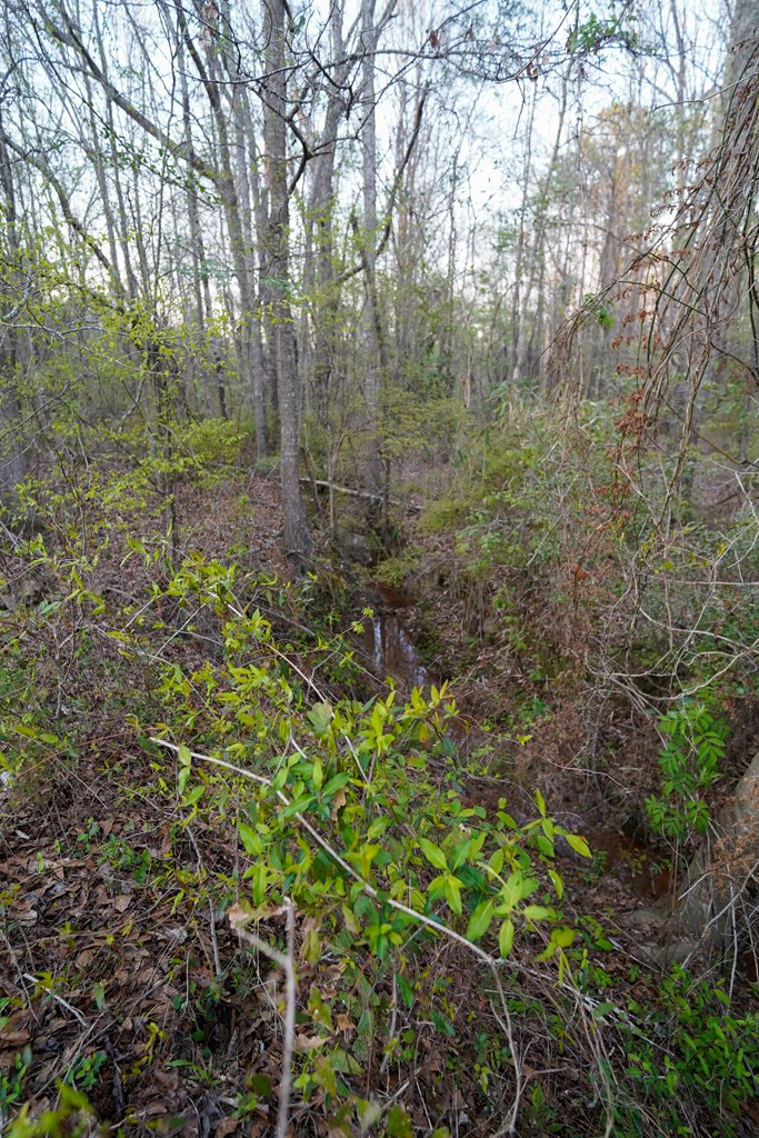 2130 County Road 6600