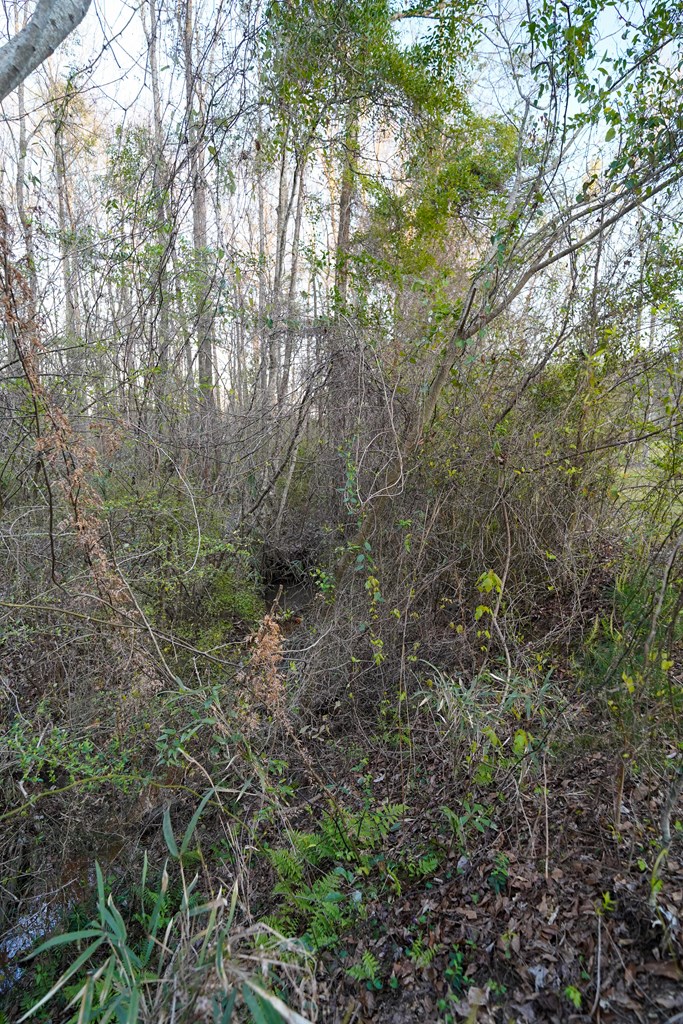 2130 County Road 6600