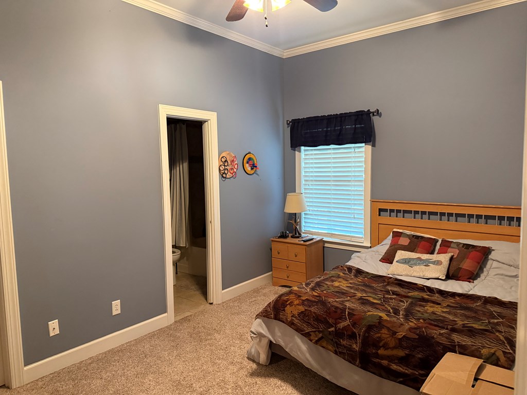 1545 County Road 2203