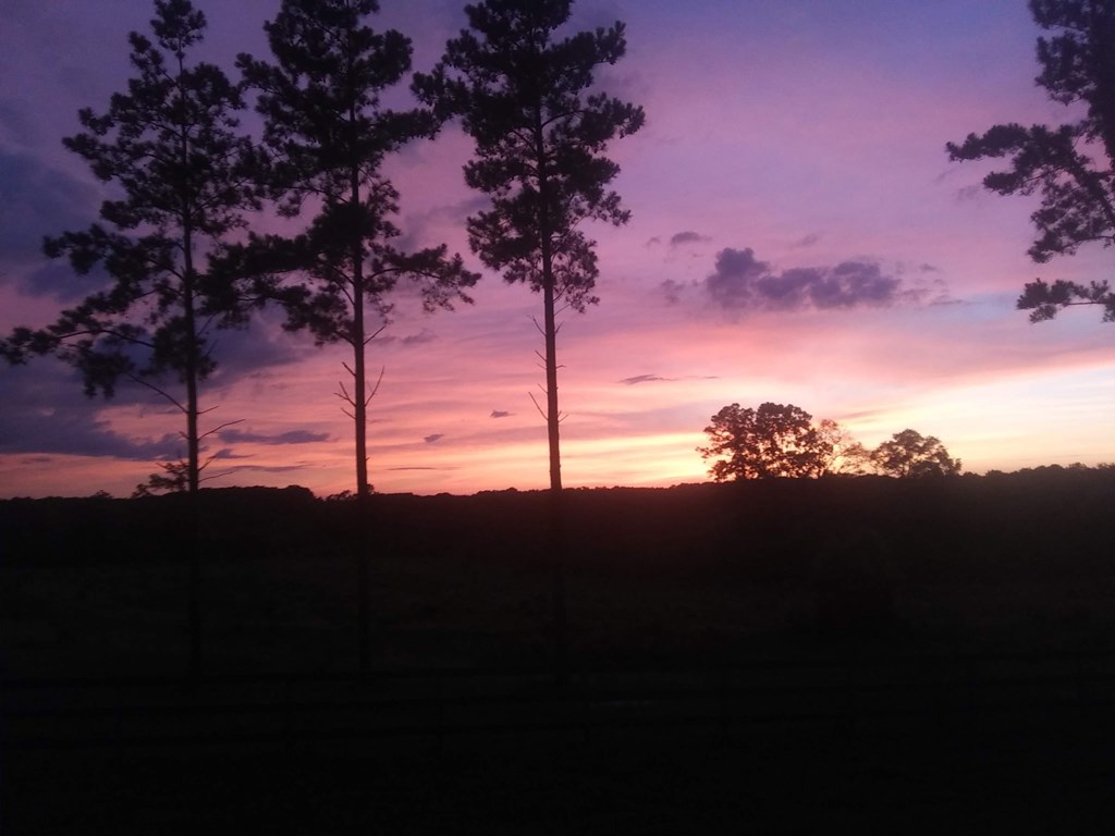 1545 County Road 2203