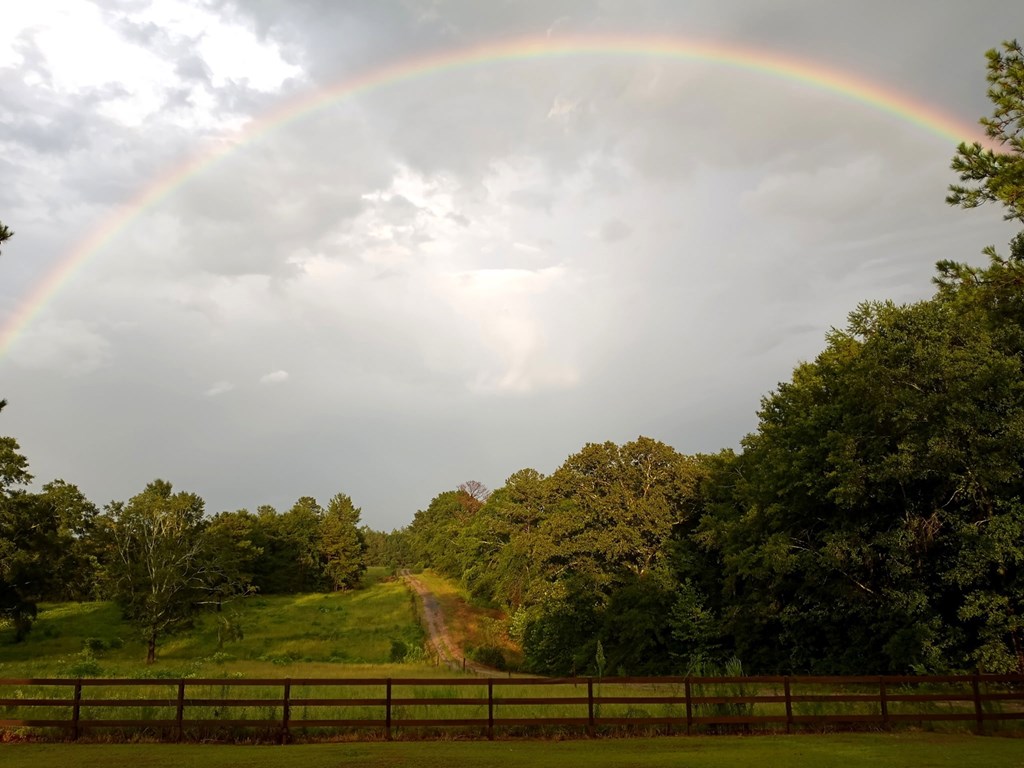 1545 County Road 2203