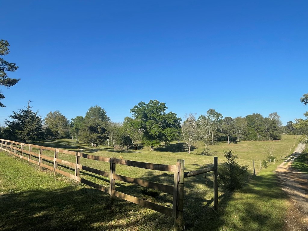 1545 County Road 2203