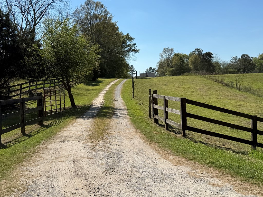 1545 County Road 2203