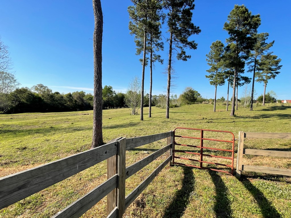 1545 County Road 2203