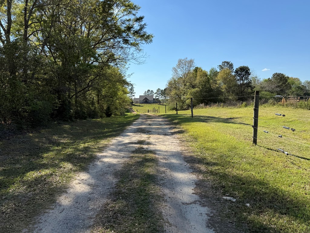 1545 County Road 2203