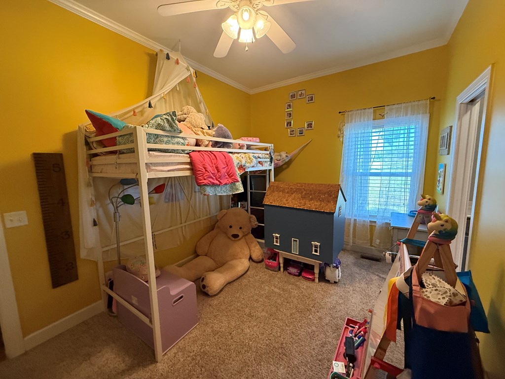 1545 County Road 2203