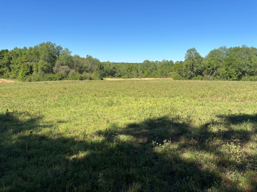 0 County Road 6618