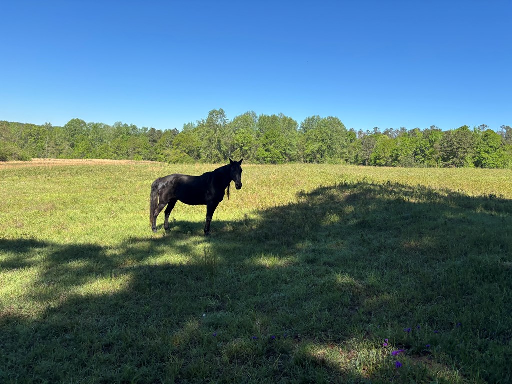 0 County Road 6618