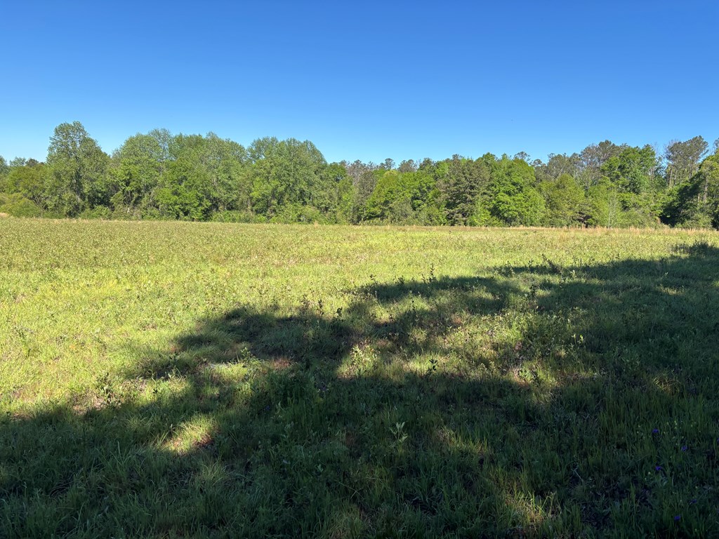 0 County Road 6618