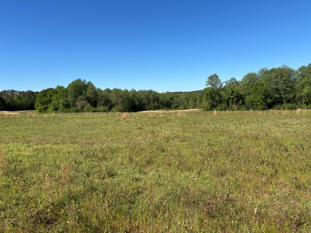 0 County Road 6618