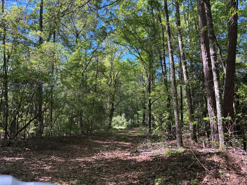 0 County Road 6618