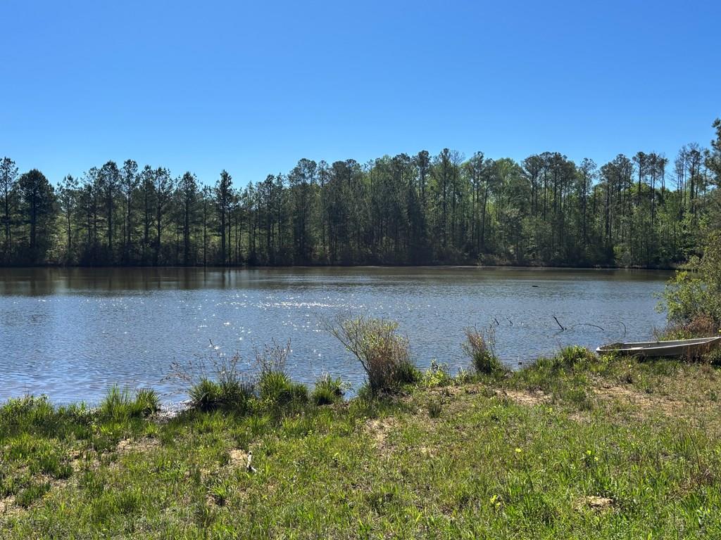 0 County Road 6618