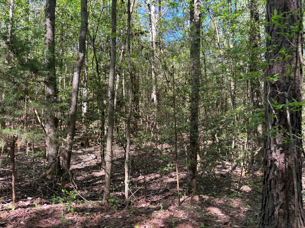 0 County Road 6618
