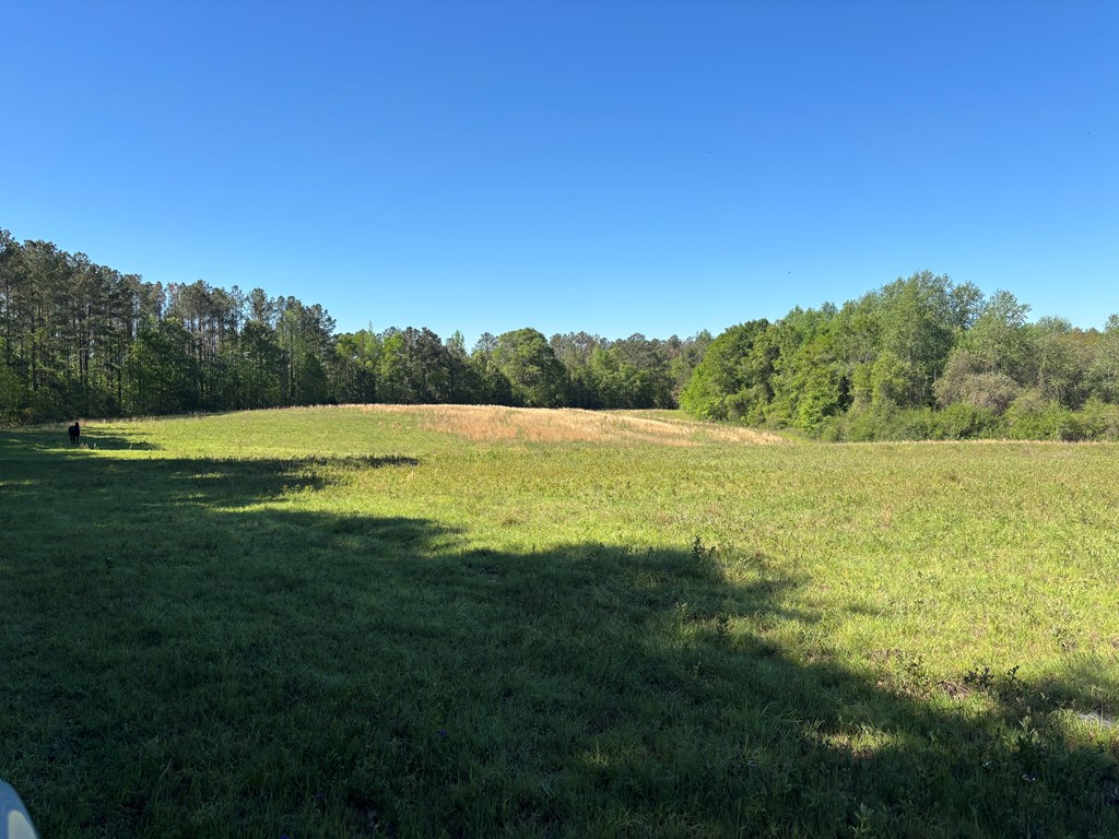 0 County Road 6618
