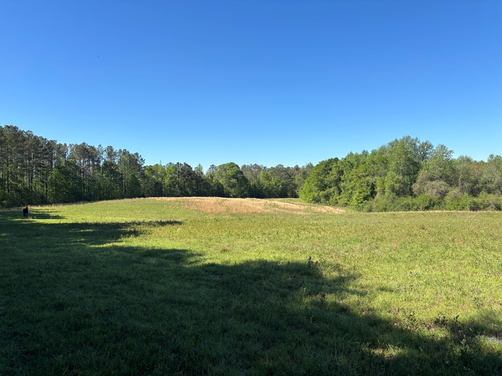 0 County Road 6618