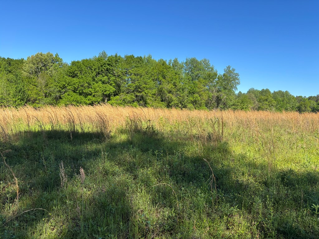 0 County Road 6618