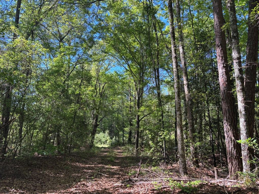 0 County Road 6618
