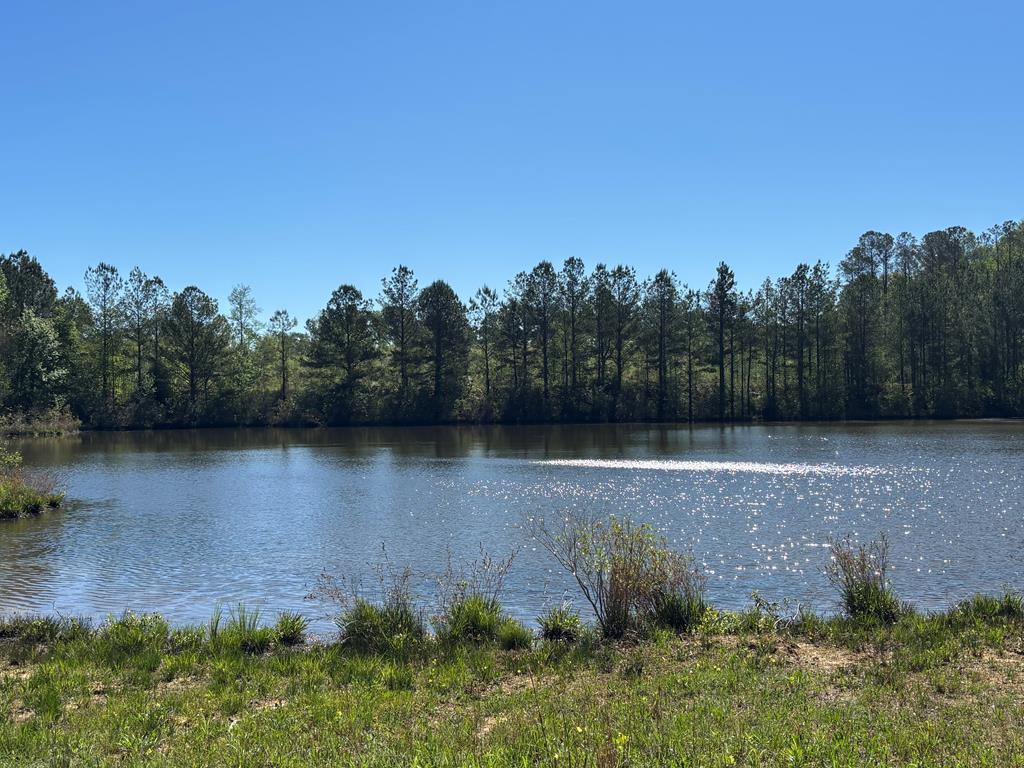 0 County Road 6618