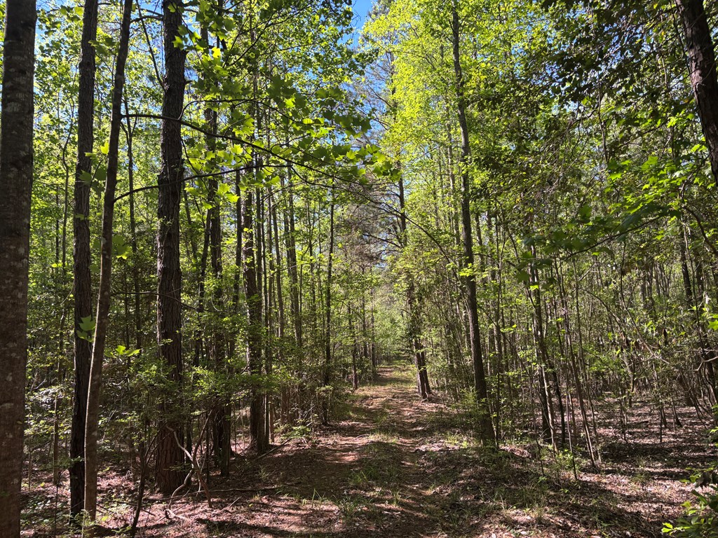 0 County Road 6618