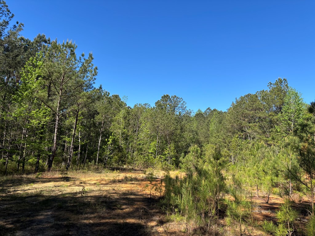 0 County Road 6618