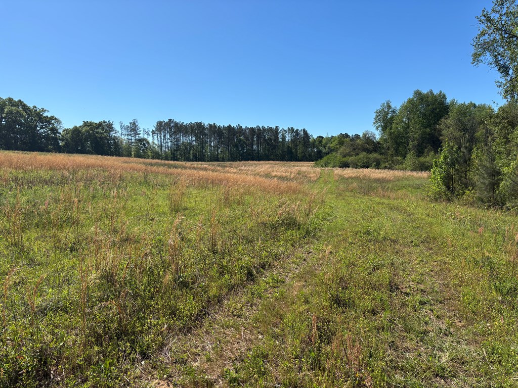 0 County Road 6618