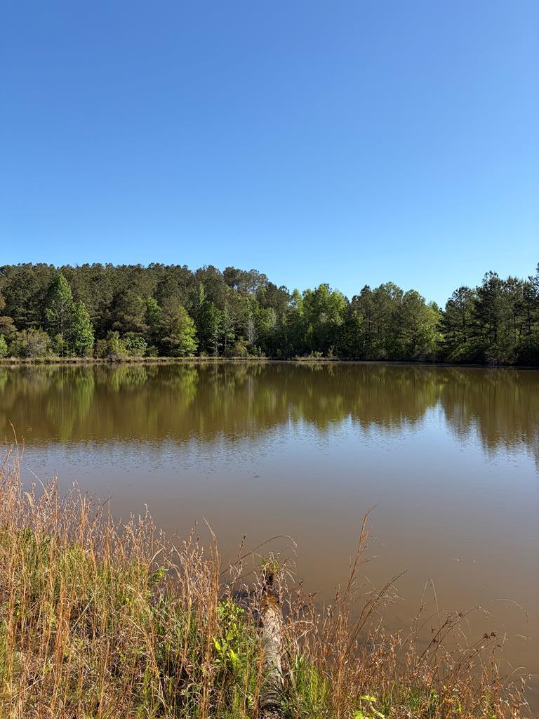0 County Road 6618