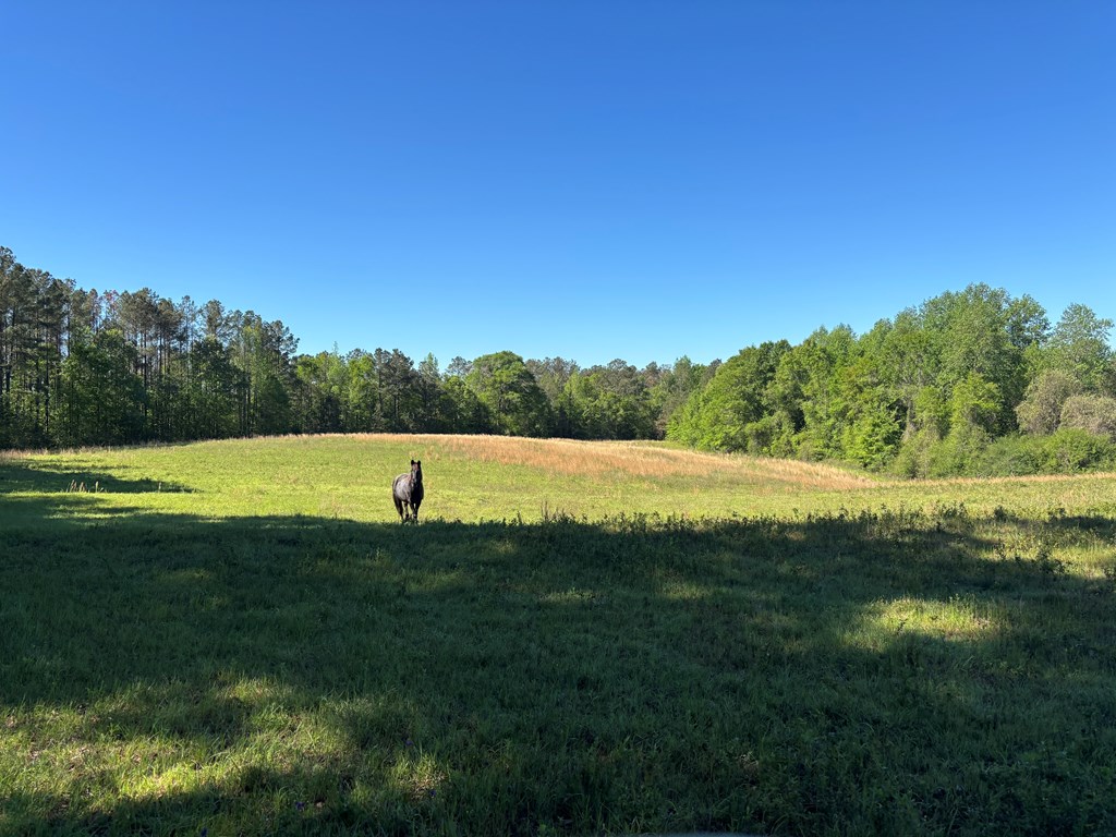 0 County Road 6618