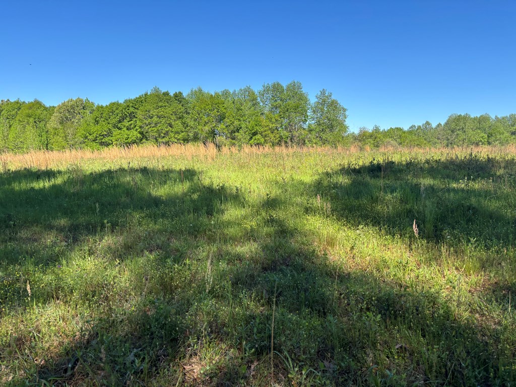 0 County Road 6618